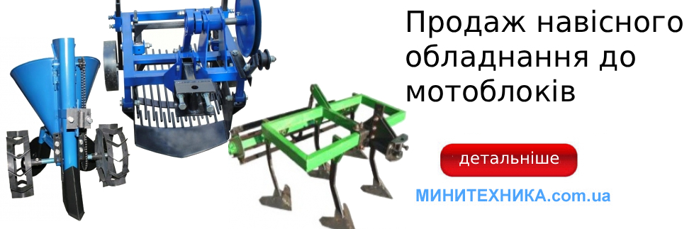 big-banner